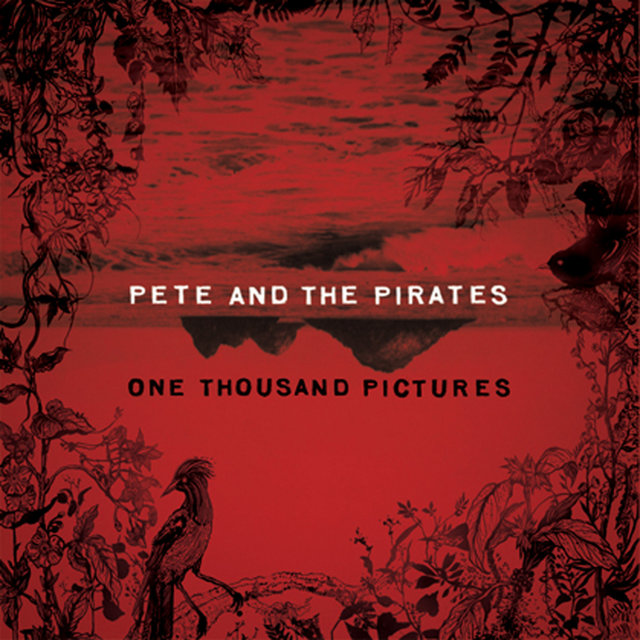 Couverture de One Thousand Pictures