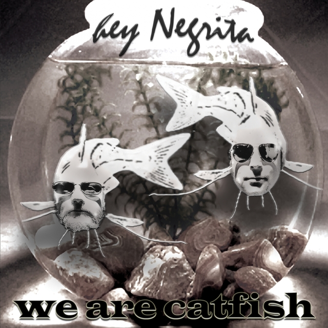 Couverture de We Are Catfish