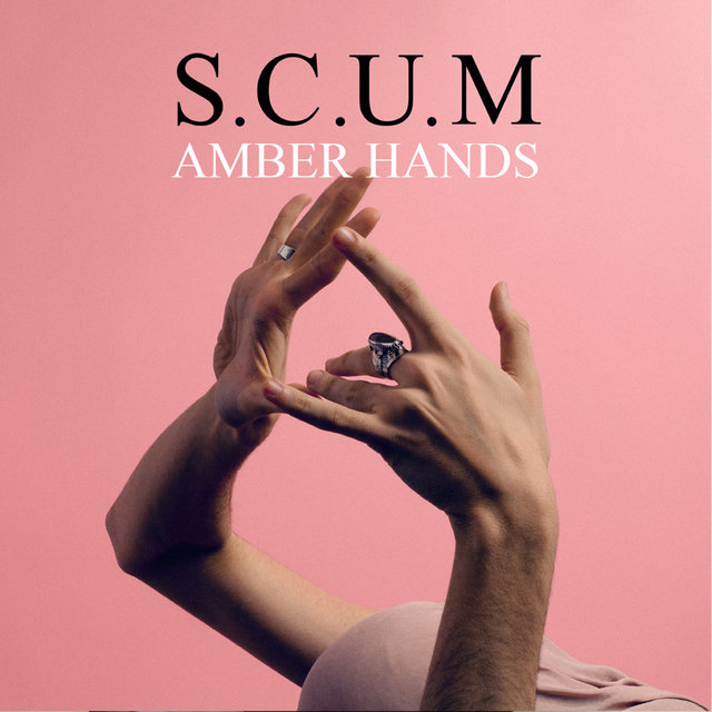 Couverture de Amber Hands