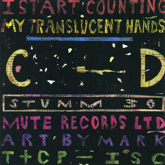 Couverture de My Translucent Hands