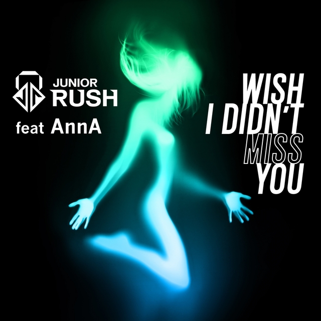 Couverture de Wish I Didn't Miss You