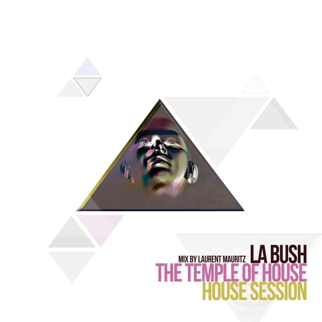 Couverture de La Bush the Temple of House