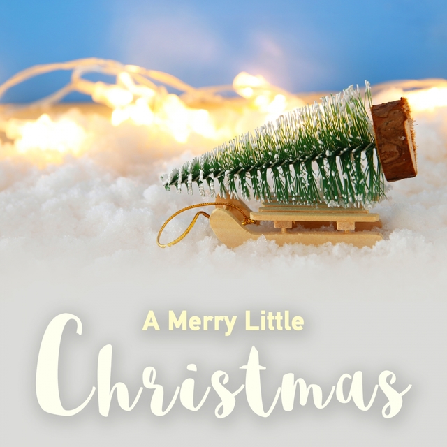 Couverture de A Merry Little Christmas