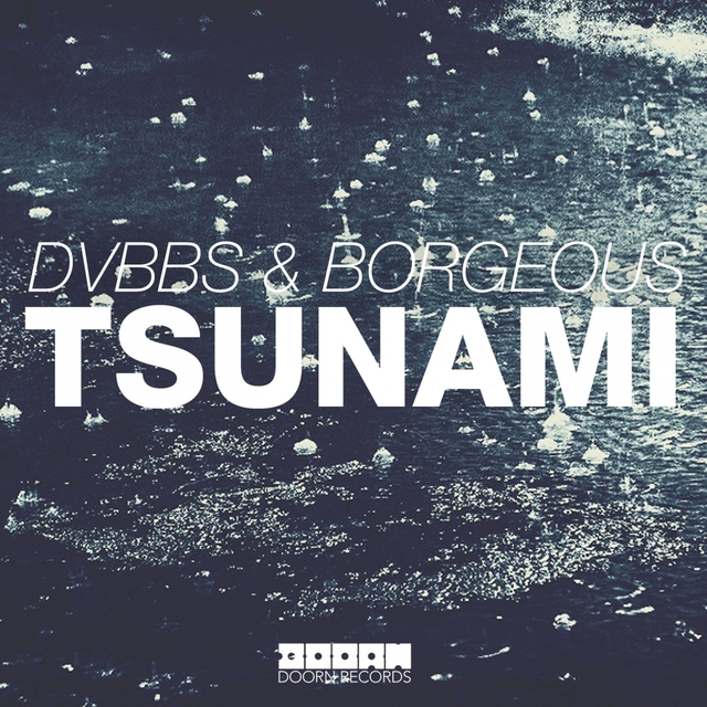 Couverture de Tsunami