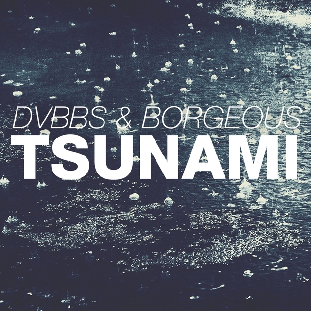 Couverture de Tsunami