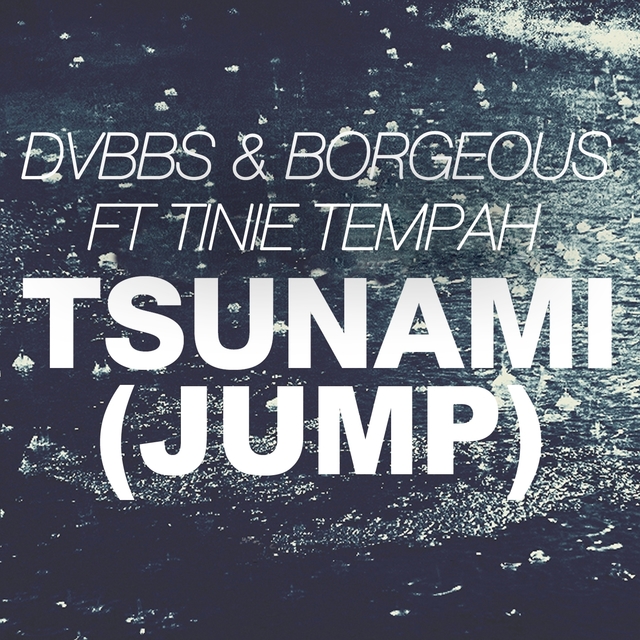 Couverture de Tsunami