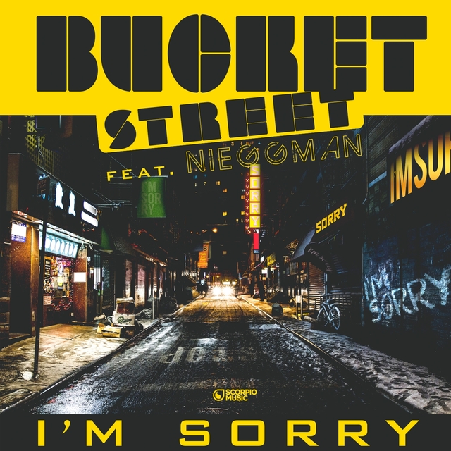 Couverture de I'm Sorry