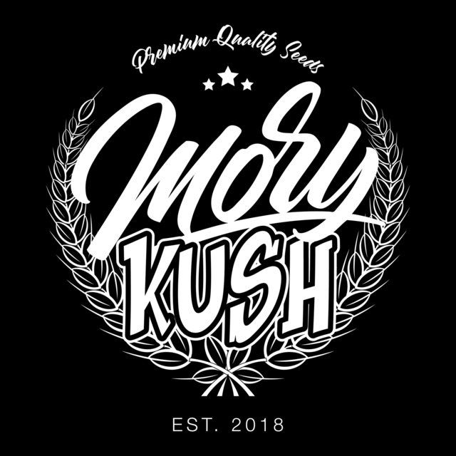 Couverture de Mory Kush