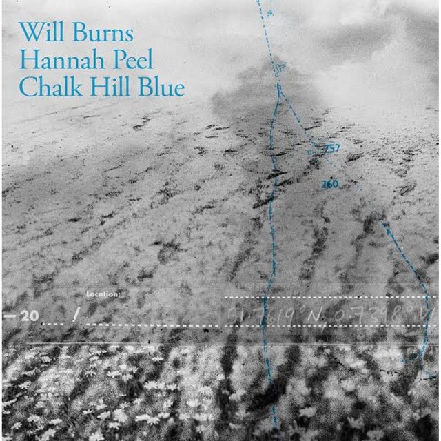 Couverture de Chalk Hill Blue