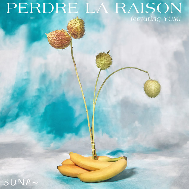 Couverture de Perdre la raison