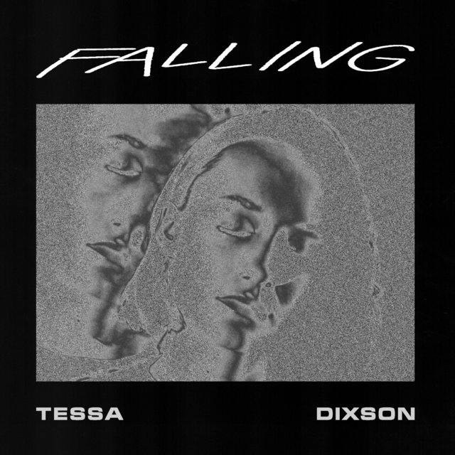 Couverture de Falling