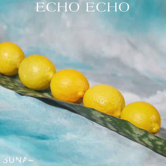 Couverture de Echo echo