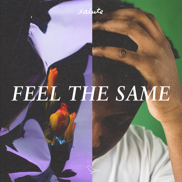 Couverture de Feel The Same