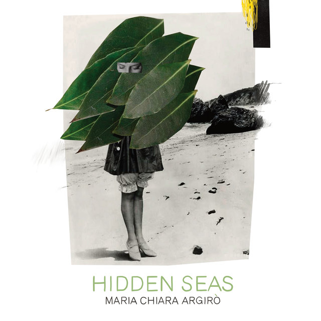 Couverture de Hidden Seas