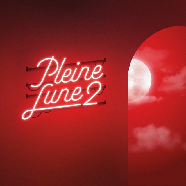 Couverture de Pleine Lune 2