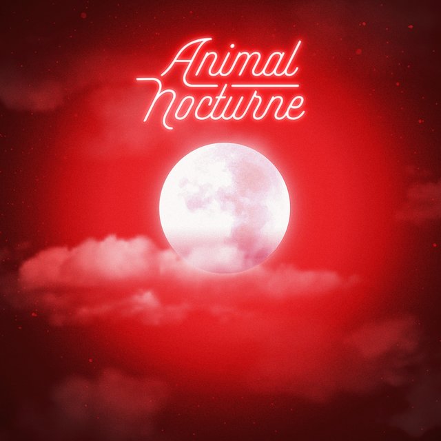 Animal nocturne