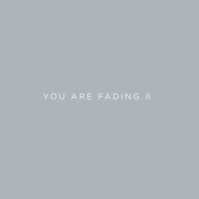 Couverture de You Are Fading, Vol. 2 (Bonus Tracks 2005 - 2010)