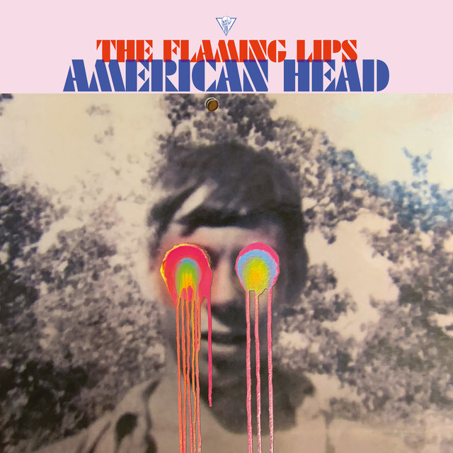 Couverture de American Head