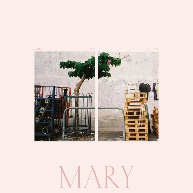 Couverture de Mary