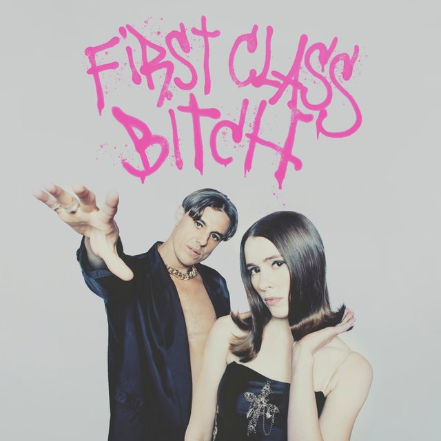 Couverture de First Class Bitch