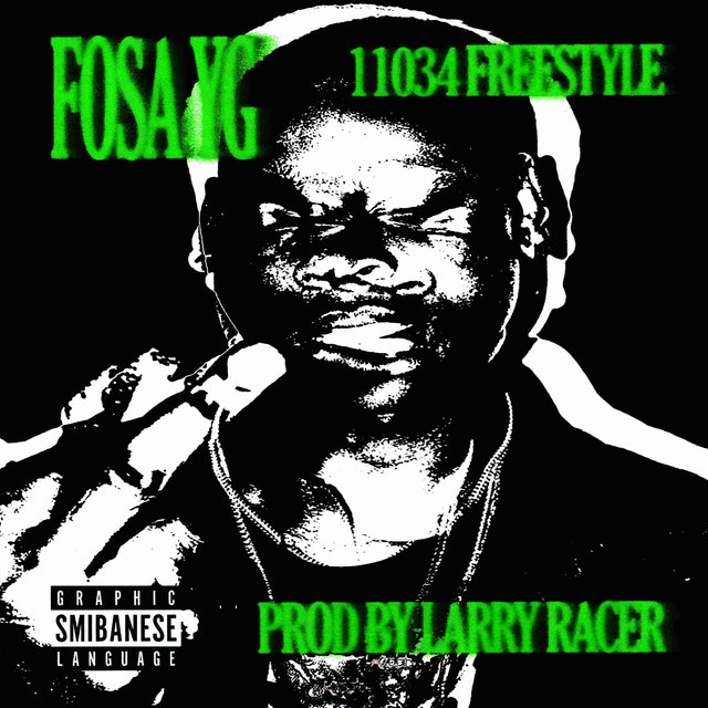 Couverture de 11034 FREESTYLE