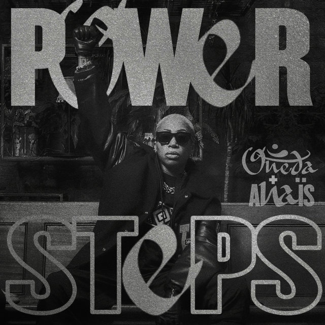 Couverture de Power Steps