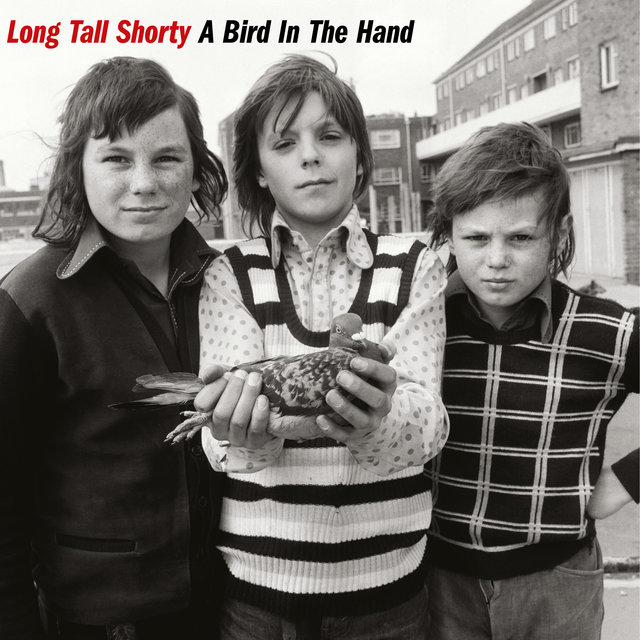 Couverture de A Bird In The Hand