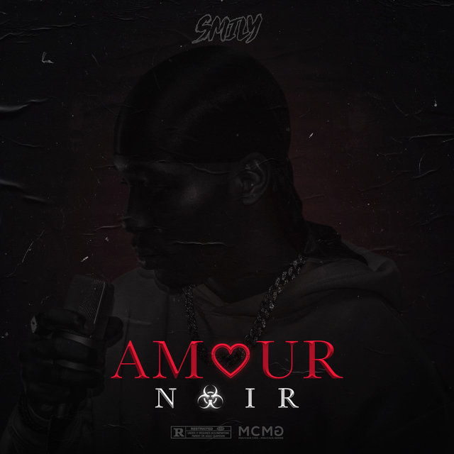 Couverture de Amour noir