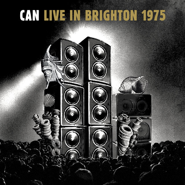 Couverture de LIVE IN BRIGHTON 1975