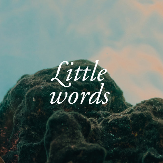 Couverture de Little Words