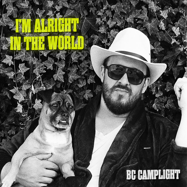 Couverture de I'm Alright In The World