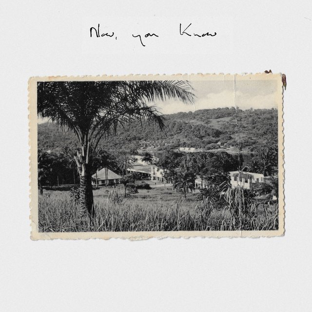 Couverture de Now, You Know