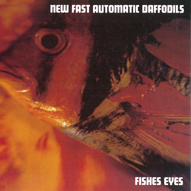 Couverture de Fishes Eyes