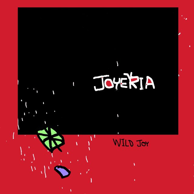 Couverture de Wild Joy