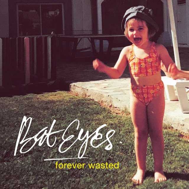 Couverture de Forever Wasted