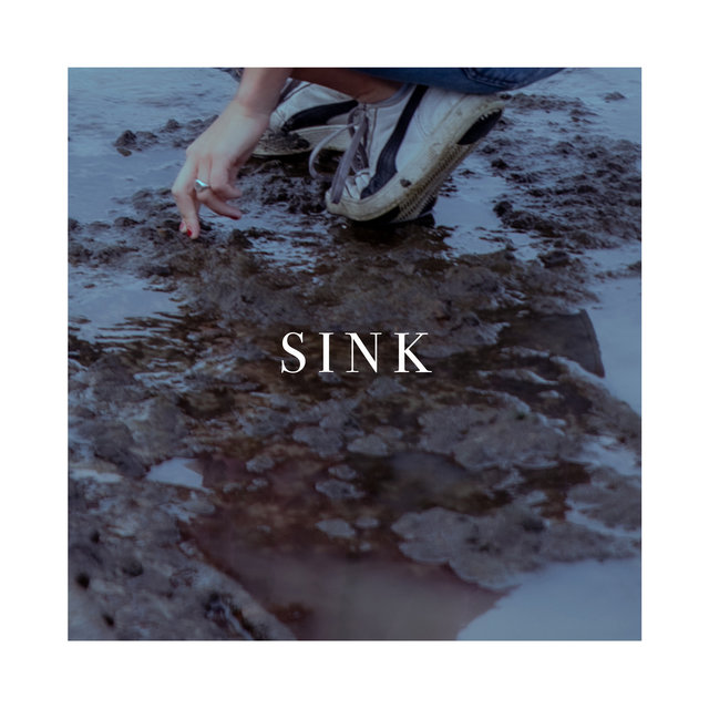 Couverture de Sink