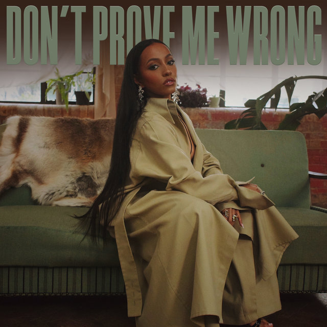 Couverture de Don't Prove Me Wrong