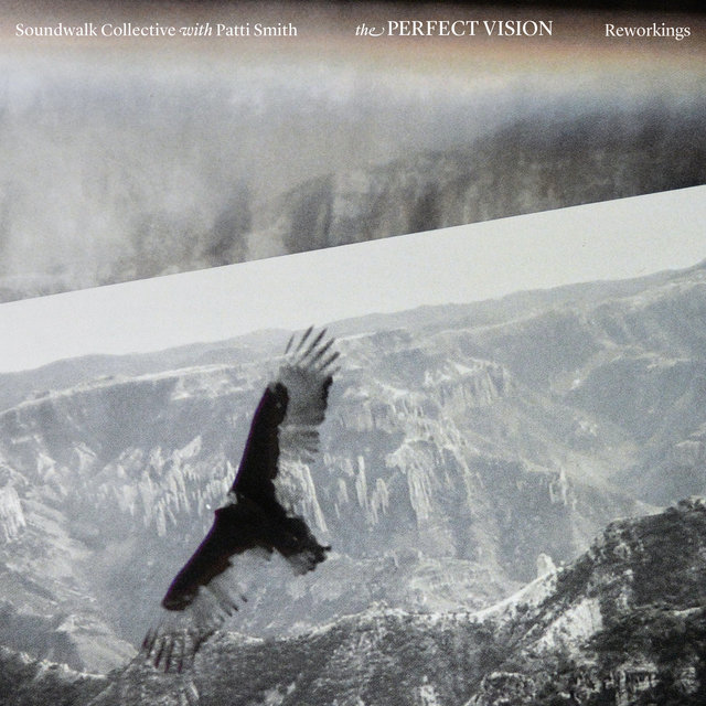 Couverture de The Perfect Vision Reworkings