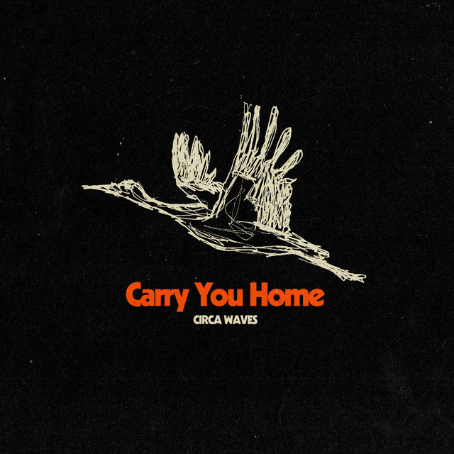 Couverture de Carry You Home