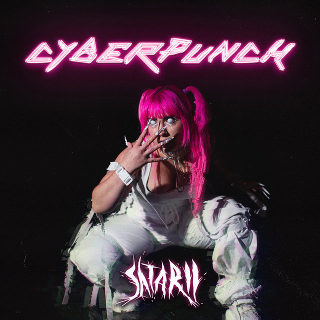 Cyberpunch