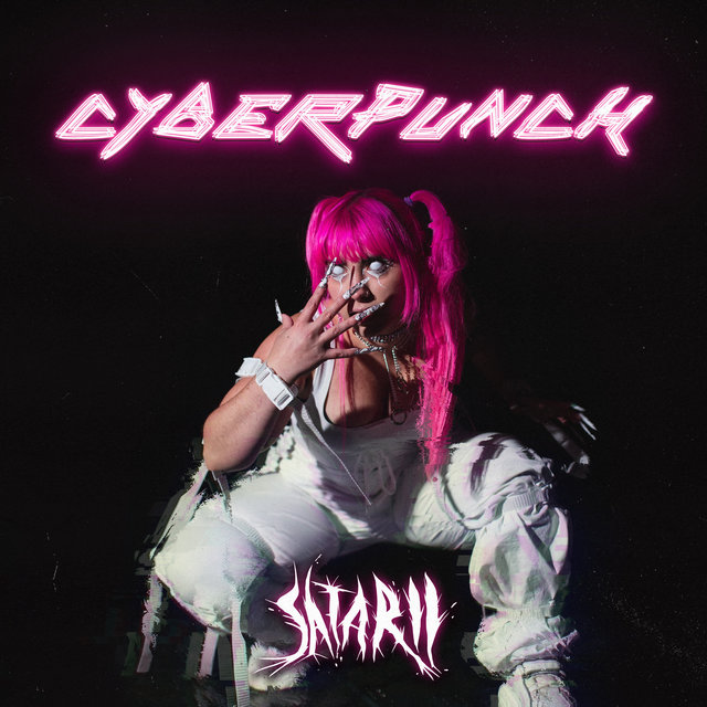 Couverture de Cyberpunch