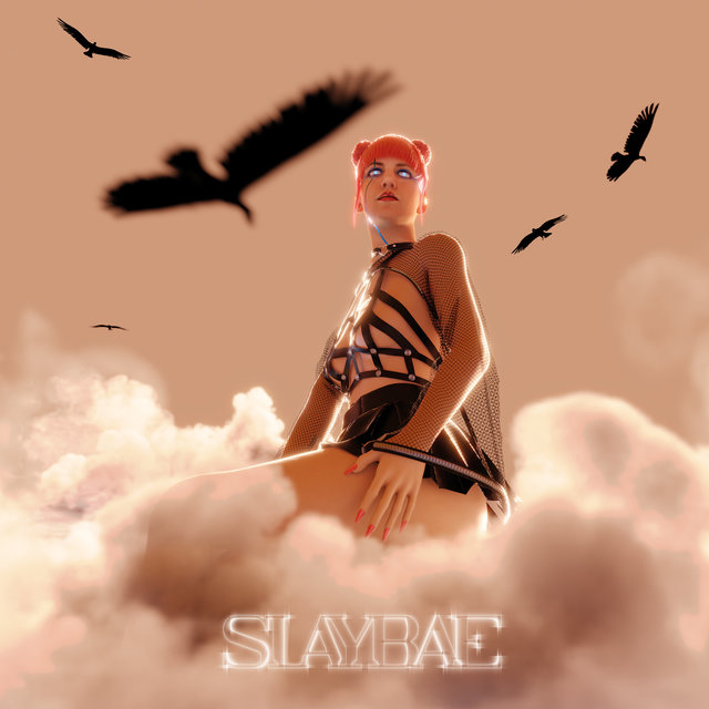 Couverture de SLAYBAE