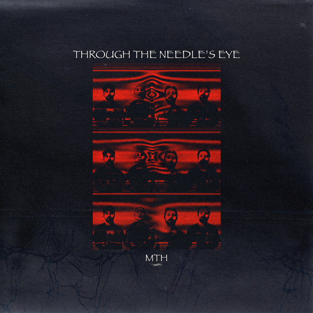 Couverture de Through The Needle's Eye