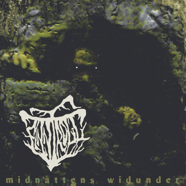 Couverture de Midnattens Widunder