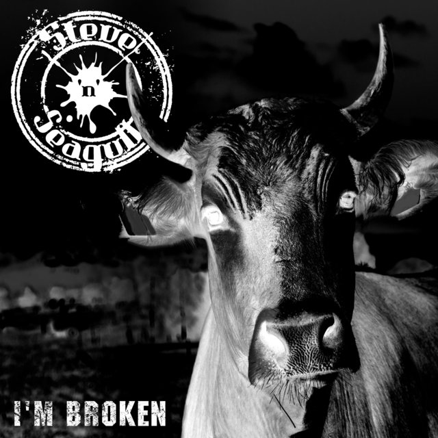 Couverture de I´m Broken