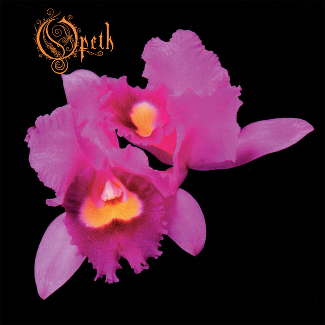 Couverture de Orchid