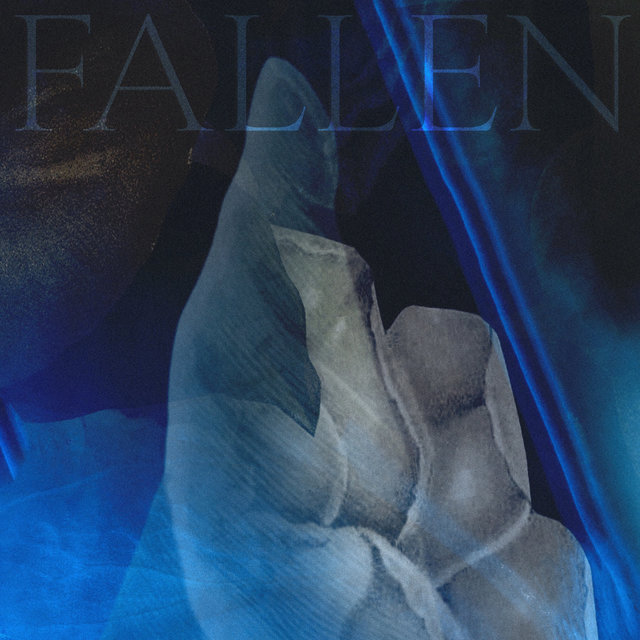 Couverture de Fallen