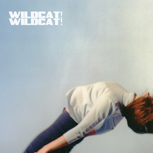 Couverture de Wildcat! Wildcat!