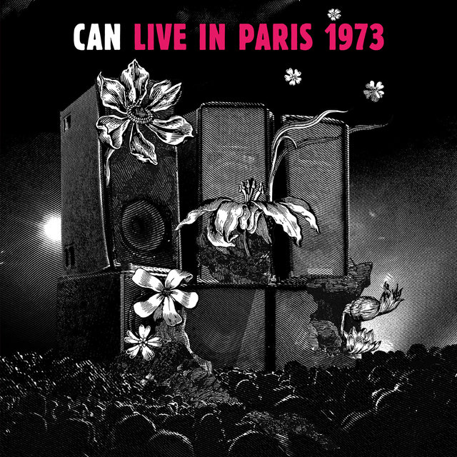 Couverture de LIVE IN PARIS 1973