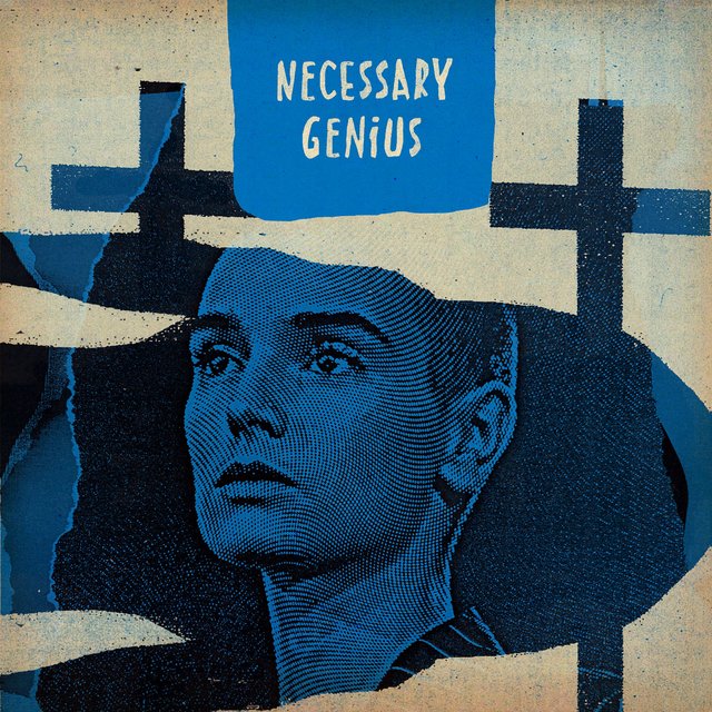 Couverture de Necessary Genius